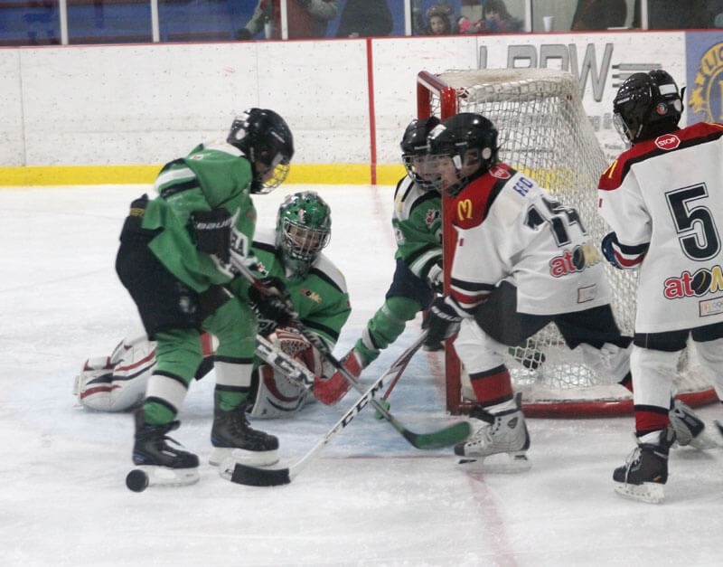 meadow-lake-minor-hockey-association-website-by-ramp-interactive